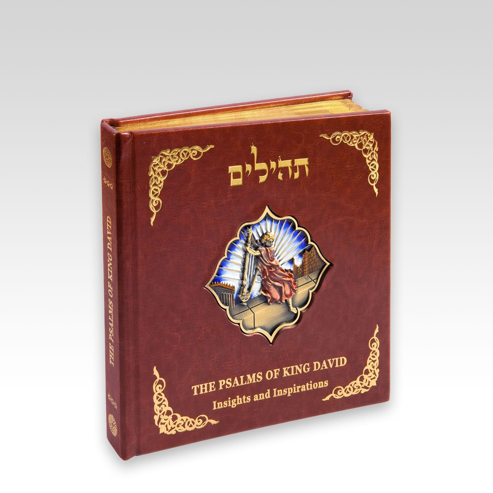 Tehillim: The Psalms of King David - Insights and Inspirations