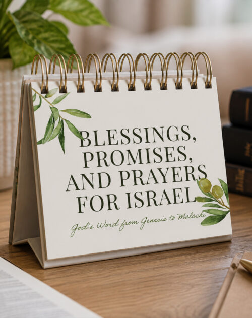 365 Blessings, Promises, and Prayers for Israel